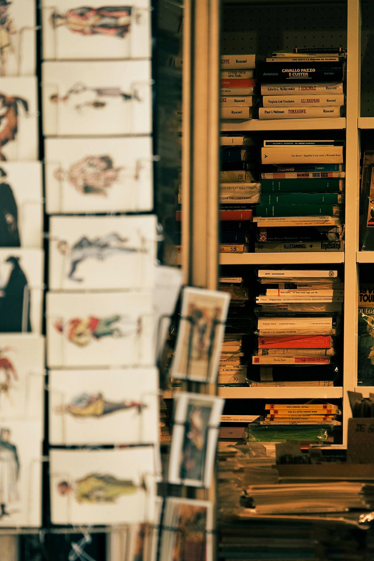 Curated Literary Collection