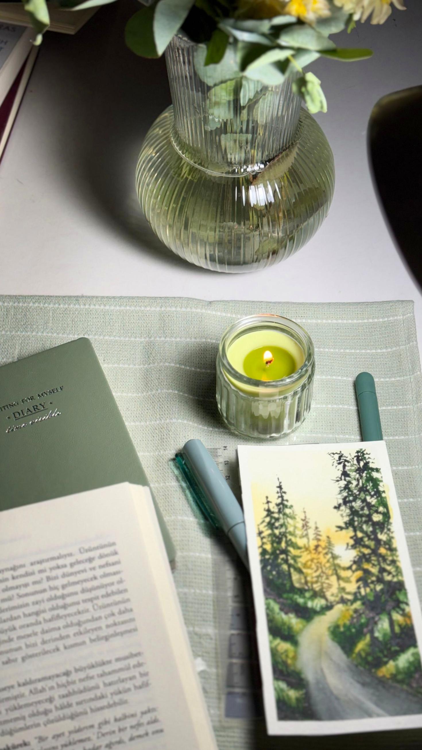 Cozy reading setup